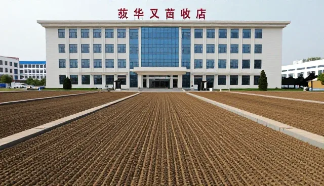 提升农产品质量的渠道供货性能评估策略